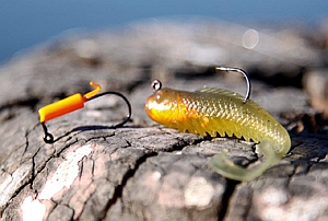 The 2013 snapper season in South Australia is closed from November 1 through until December 15. Image: Jamie Crawford